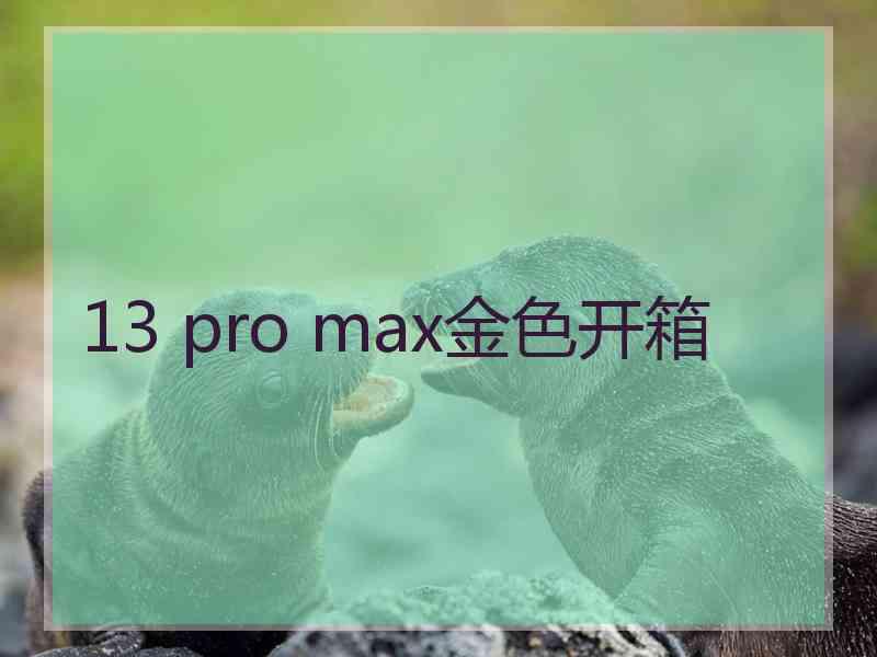 13 pro max金色开箱