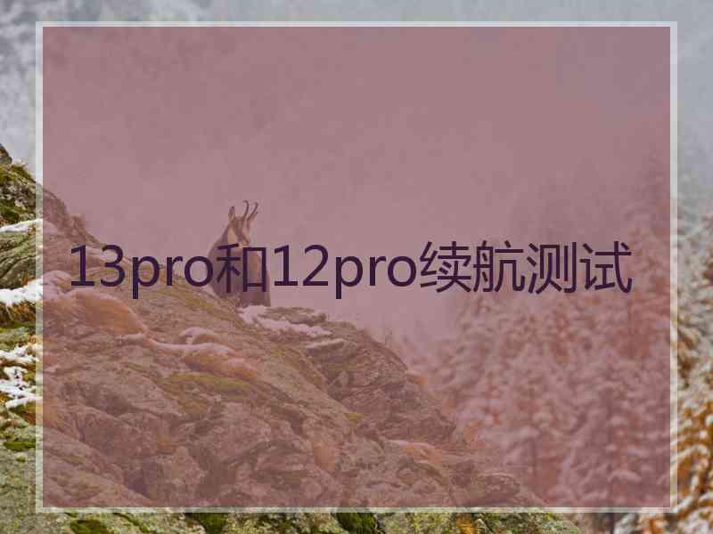 13pro和12pro续航测试