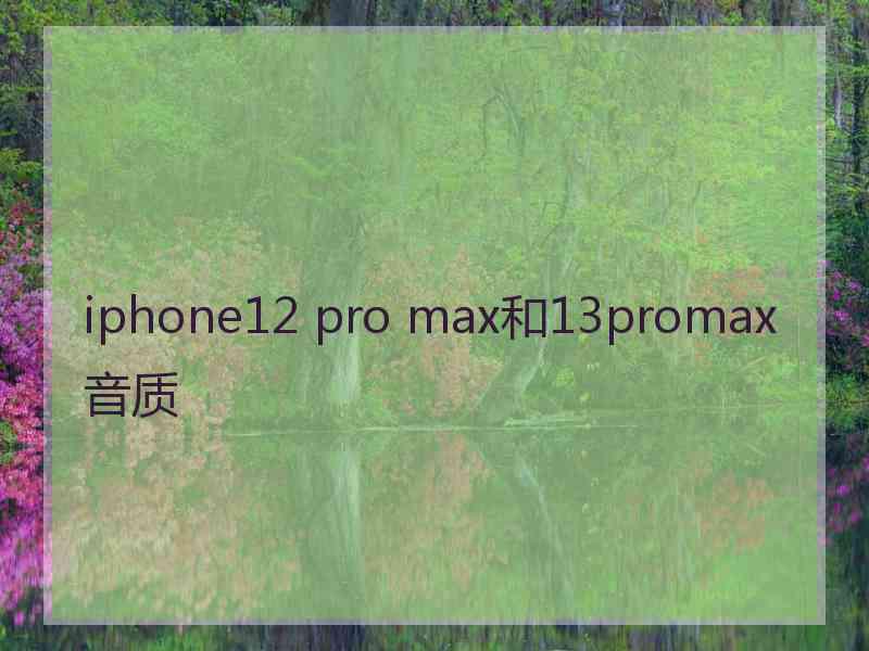 iphone12 pro max和13promax音质