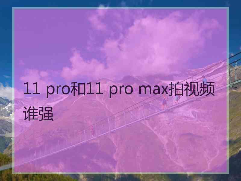 11 pro和11 pro max拍视频谁强