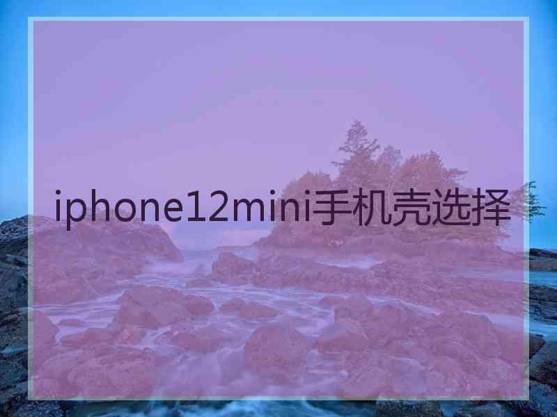 iphone12mini手机壳选择