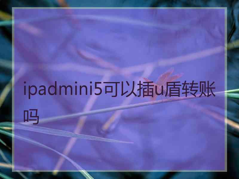 ipadmini5可以插u盾转账吗