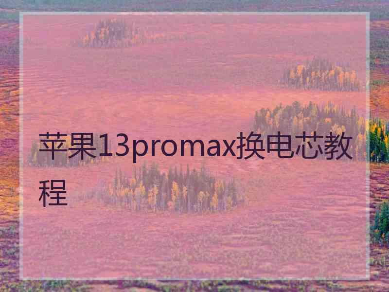 苹果13promax换电芯教程