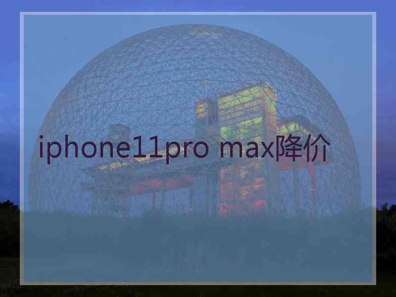 iphone11pro max降价