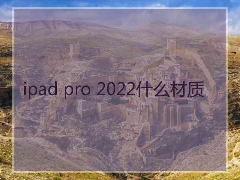 ipad pro 2022什么材质