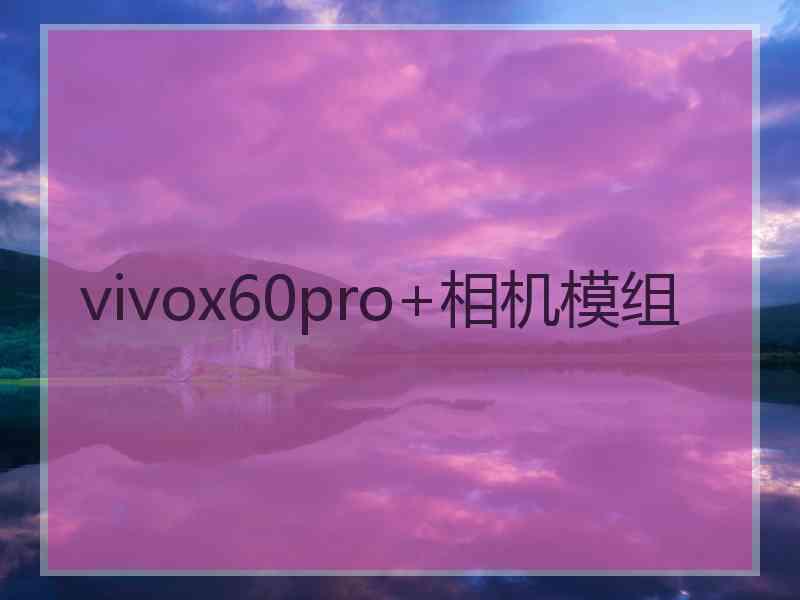 vivox60pro+相机模组