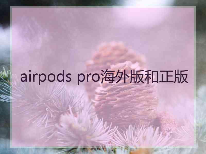 airpods pro海外版和正版