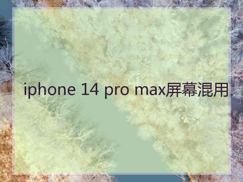 iphone 14 pro max屏幕混用