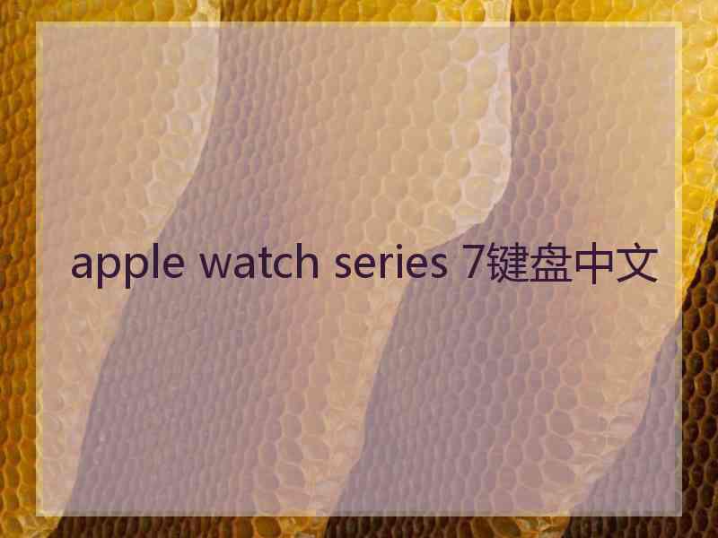 apple watch series 7键盘中文