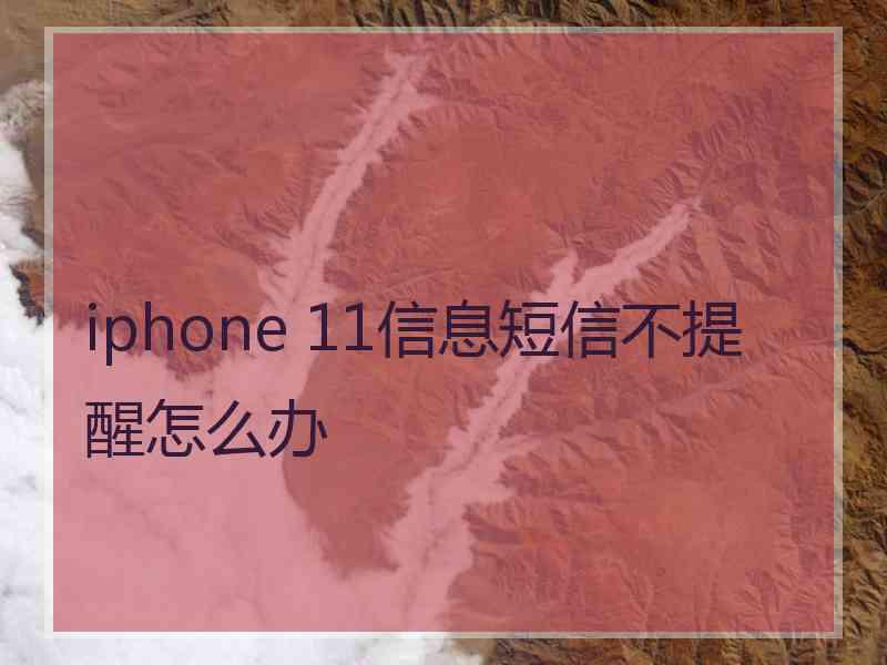 iphone 11信息短信不提醒怎么办