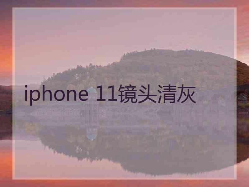 iphone 11镜头清灰