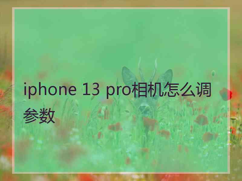 iphone 13 pro相机怎么调参数