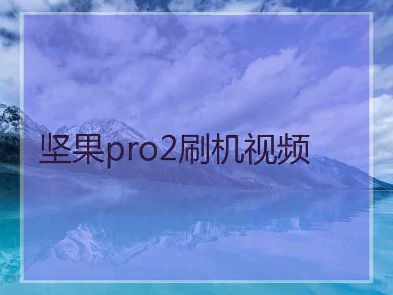 坚果pro2刷机视频