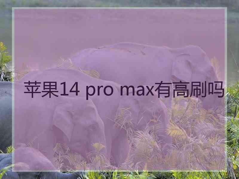 苹果14 pro max有高刷吗