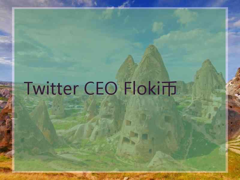 Twitter CEO Floki币