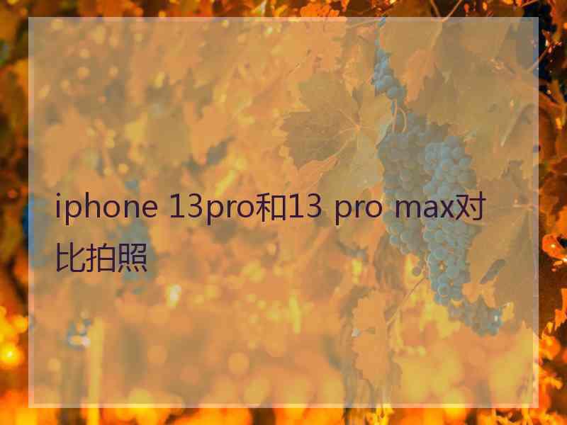 iphone 13pro和13 pro max对比拍照