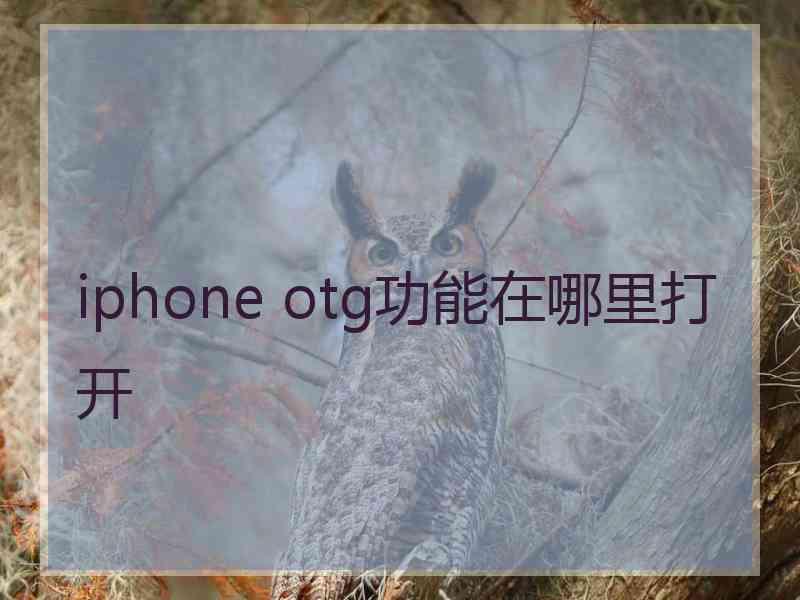 iphone otg功能在哪里打开