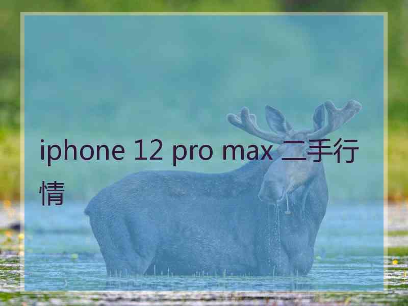 iphone 12 pro max 二手行情