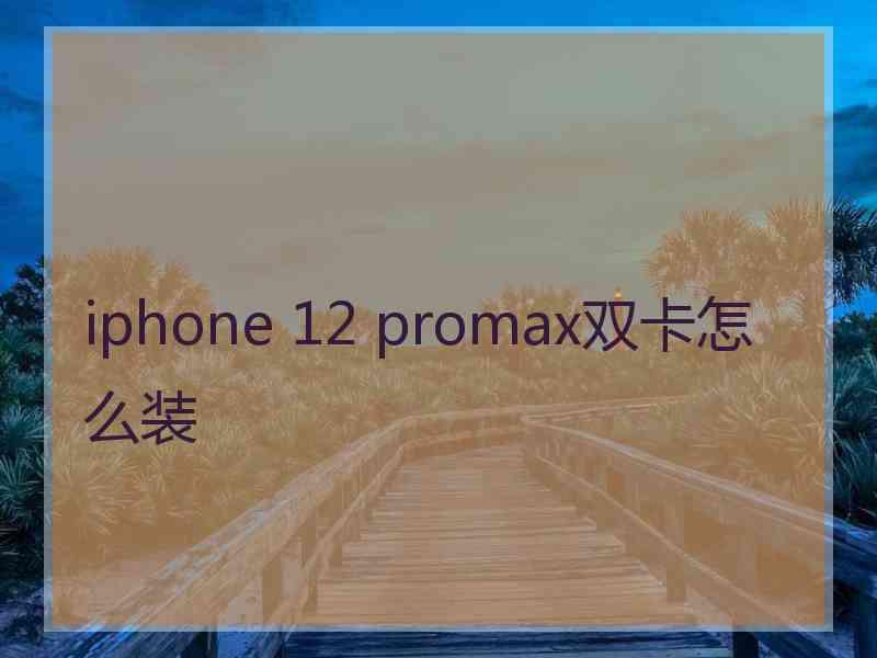 iphone 12 promax双卡怎么装