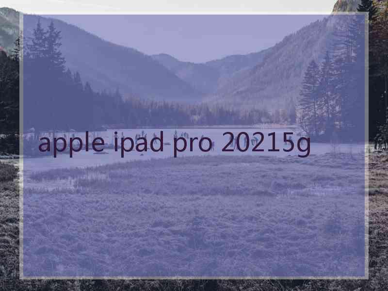 apple ipad pro 20215g