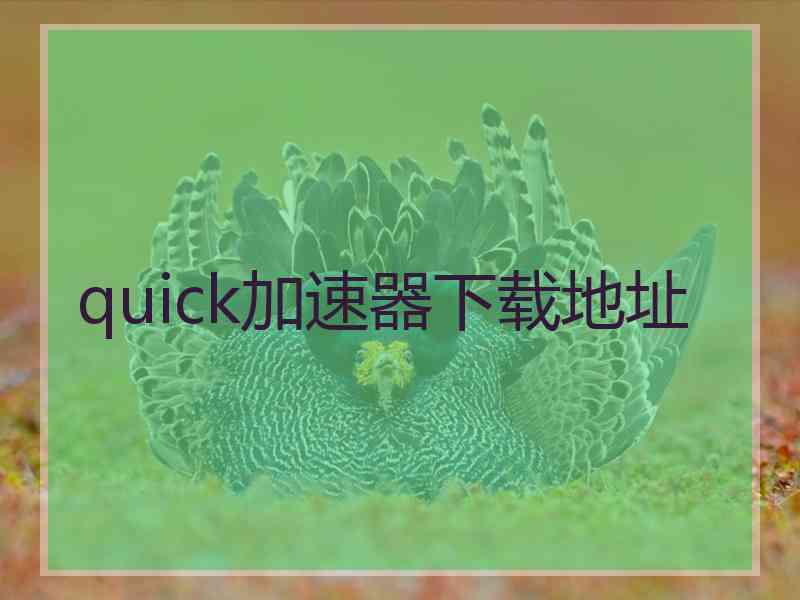 quick加速器下载地址