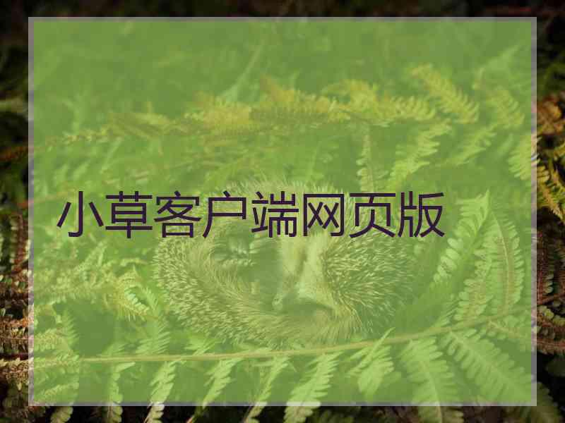 小草客户端网页版