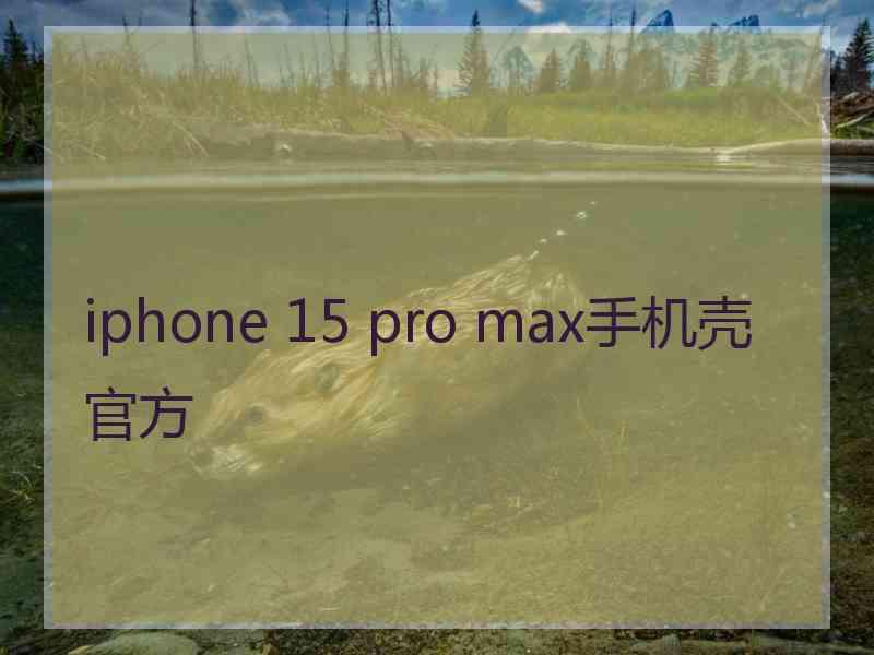 iphone 15 pro max手机壳官方