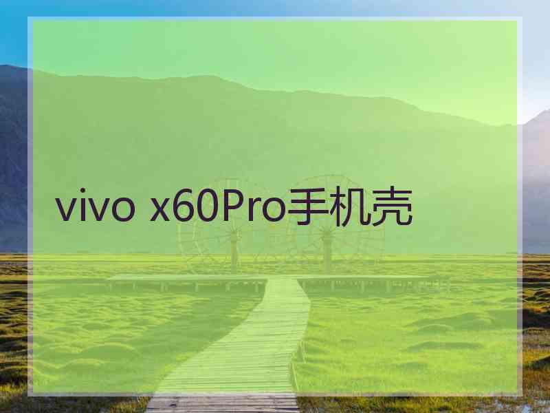 vivo x60Pro手机壳