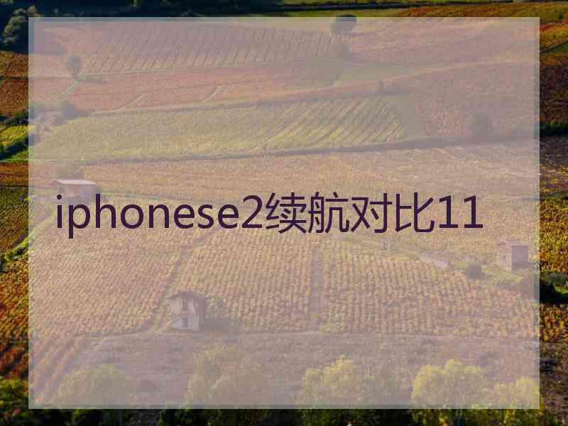 iphonese2续航对比11