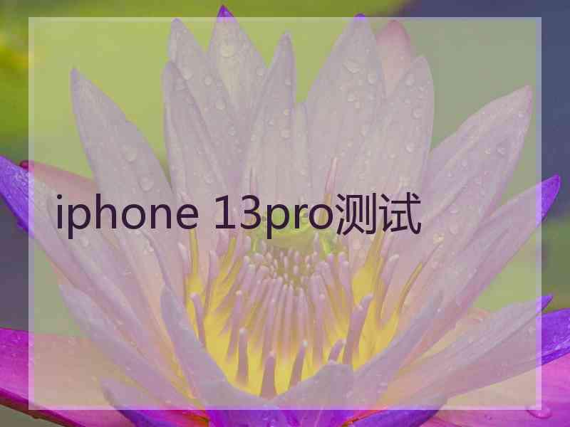 iphone 13pro测试