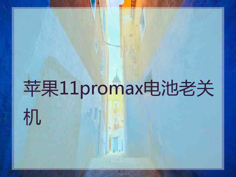 苹果11promax电池老关机