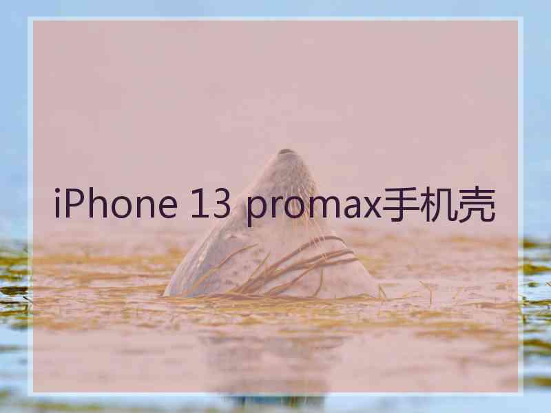 iPhone 13 promax手机壳