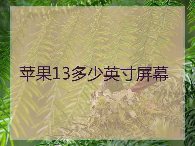 苹果13多少英寸屏幕