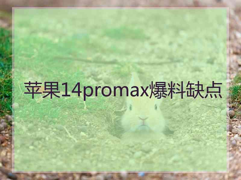 苹果14promax爆料缺点