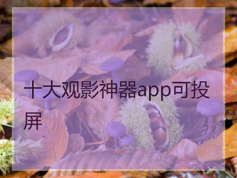 十大观影神器app可投屏