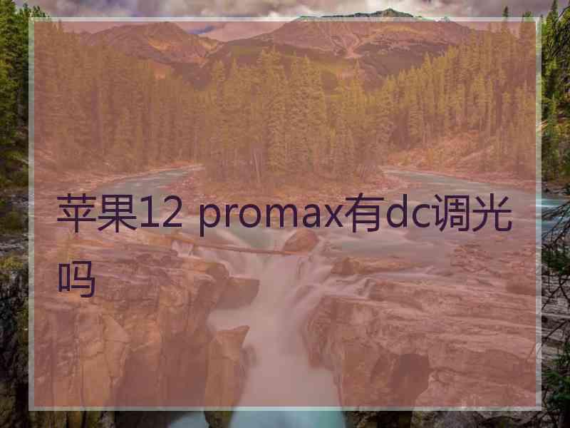 苹果12 promax有dc调光吗