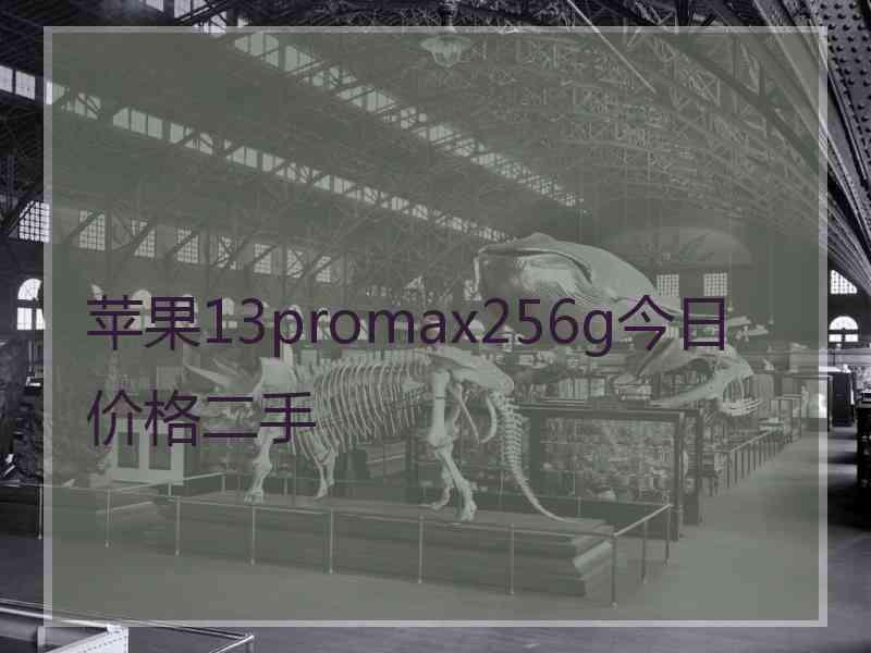 苹果13promax256g今日价格二手