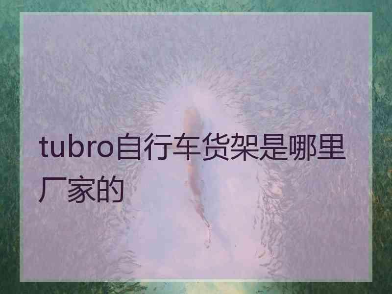 tubro自行车货架是哪里厂家的