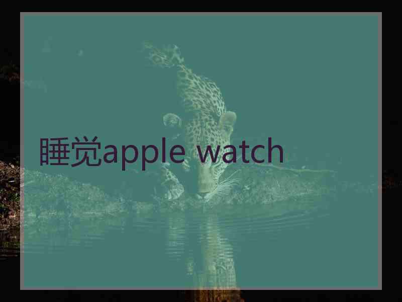 睡觉apple watch