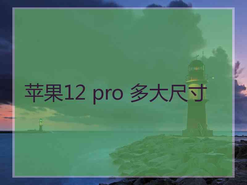 苹果12 pro 多大尺寸