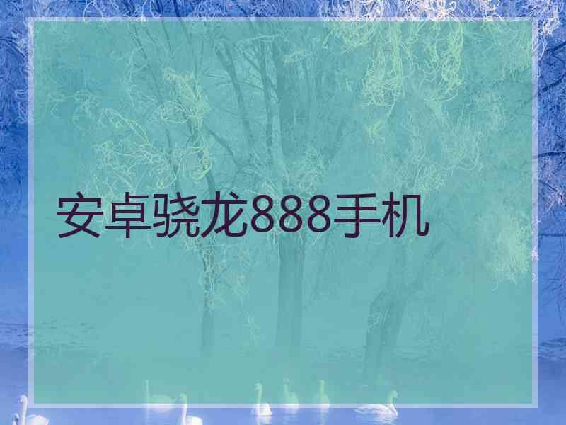 安卓骁龙888手机