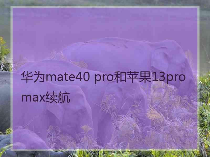 华为mate40 pro和苹果13promax续航