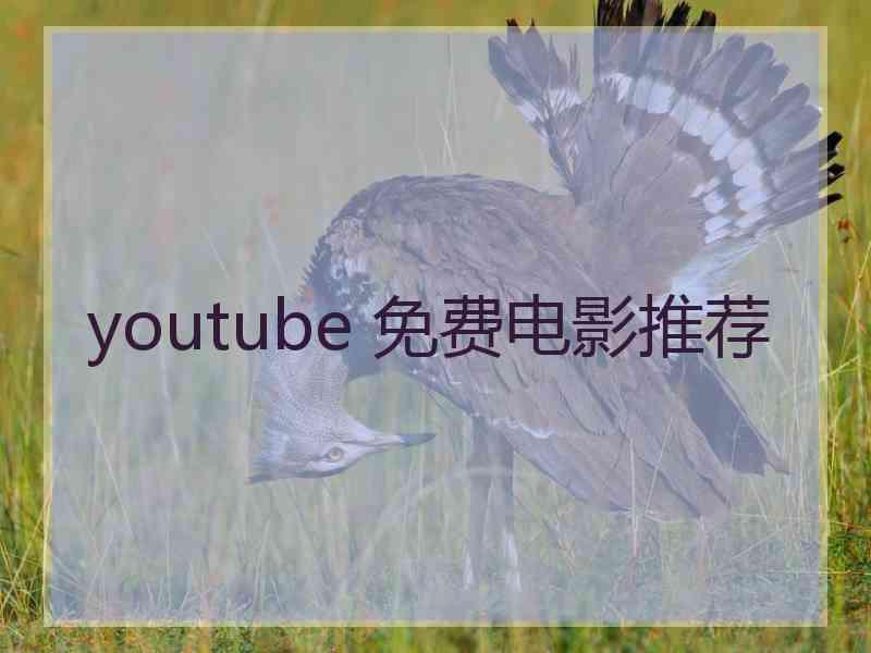 youtube 免费电影推荐