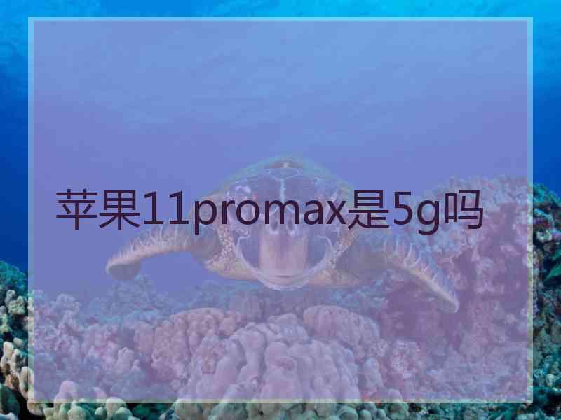 苹果11promax是5g吗