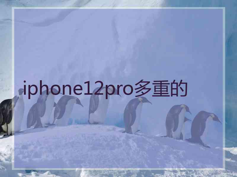 iphone12pro多重的