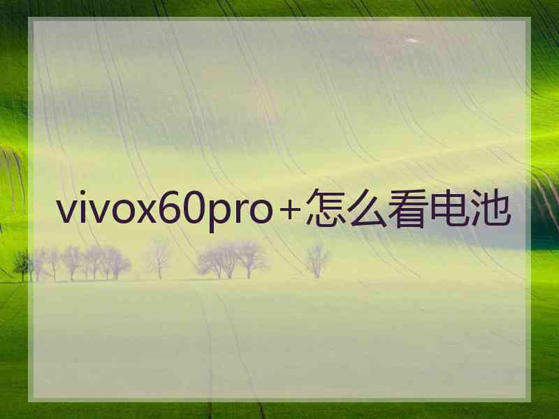 vivox60pro+怎么看电池