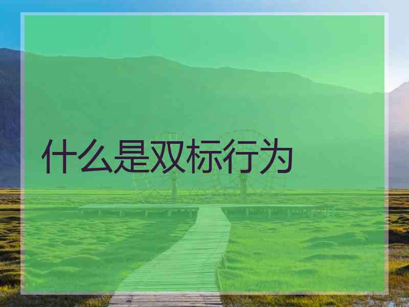 什么是双标行为