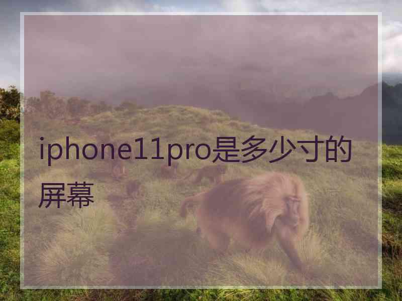 iphone11pro是多少寸的屏幕