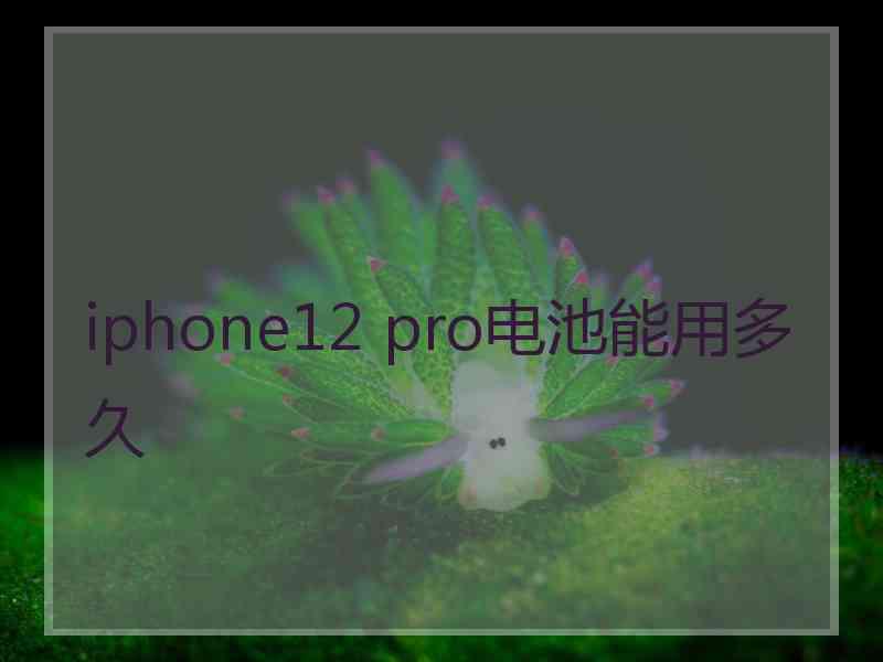 iphone12 pro电池能用多久