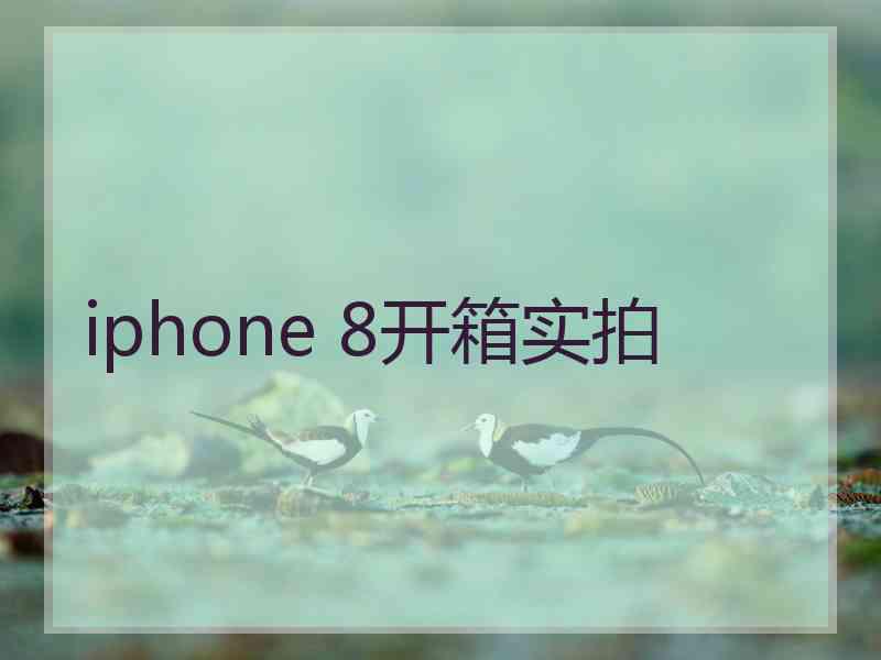 iphone 8开箱实拍